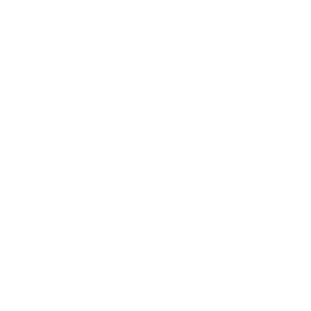Nicolás P. Villarreal